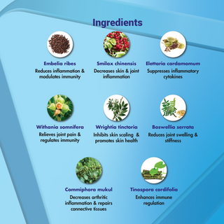 Jrk's Ai Pro Tablets for psoriasis  ingredients 